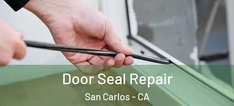  Door Seal Repair San Carlos - CA