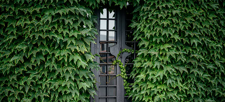 Garden Gate Repair in San Carlos, CA