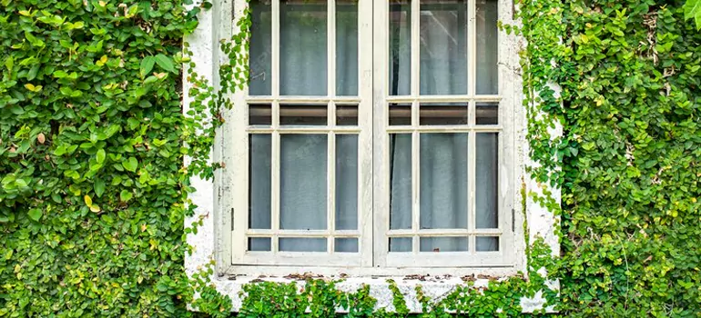 Garden Window Repair Near Me in San Carlos, CA