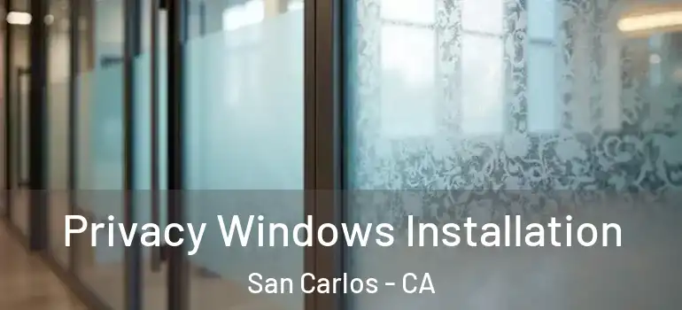  Privacy Windows Installation San Carlos - CA