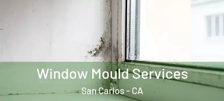  Window Mould Services San Carlos - CA